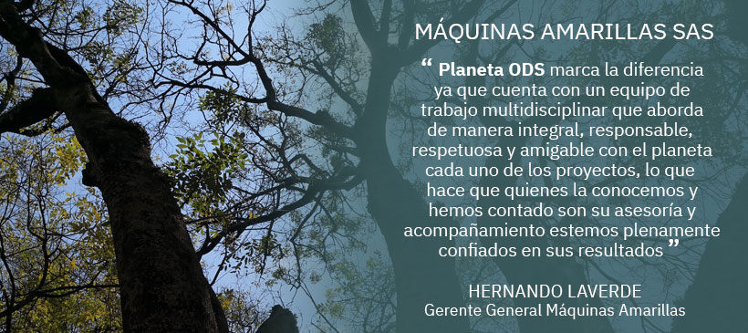 MAQUINAS-AMARILLAS (1)