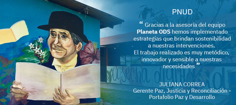 PNUD (7)